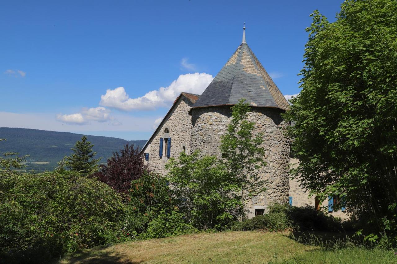 Chateau De Sothonod מראה חיצוני תמונה
